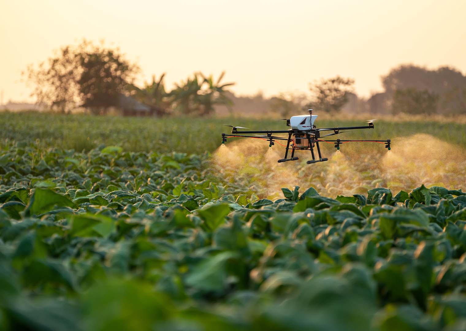 rapid prototyping industrial machinery and robotics